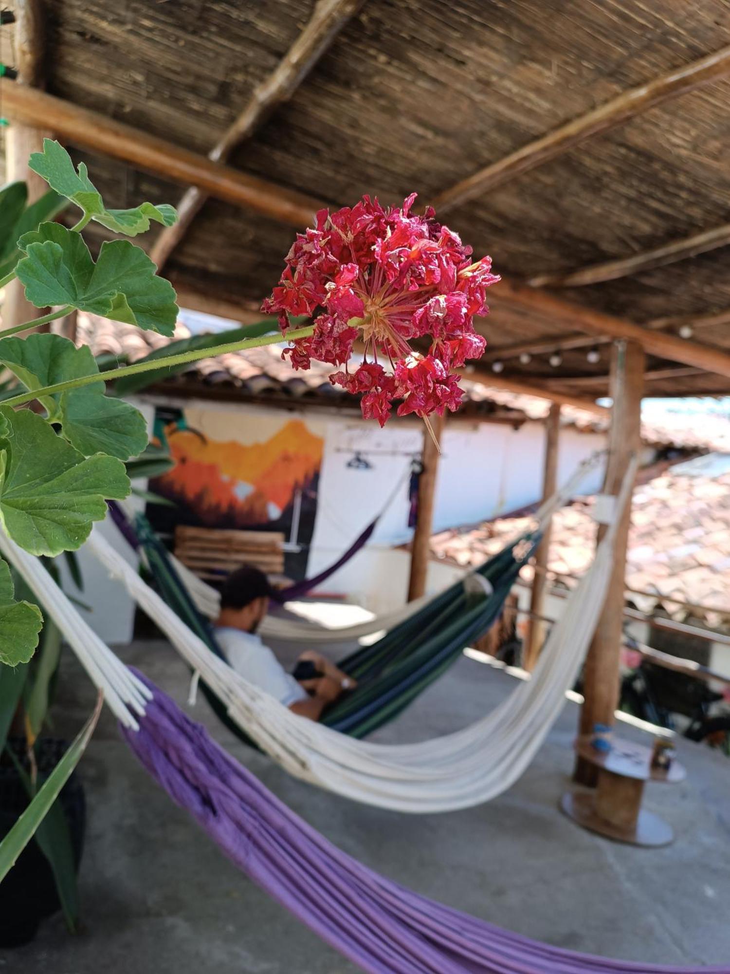 Adventure Hostel San Gil Ngoại thất bức ảnh